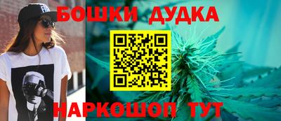 гашик Шелехов