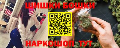 гашик Шелехов