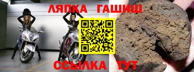 гашик Шелехов